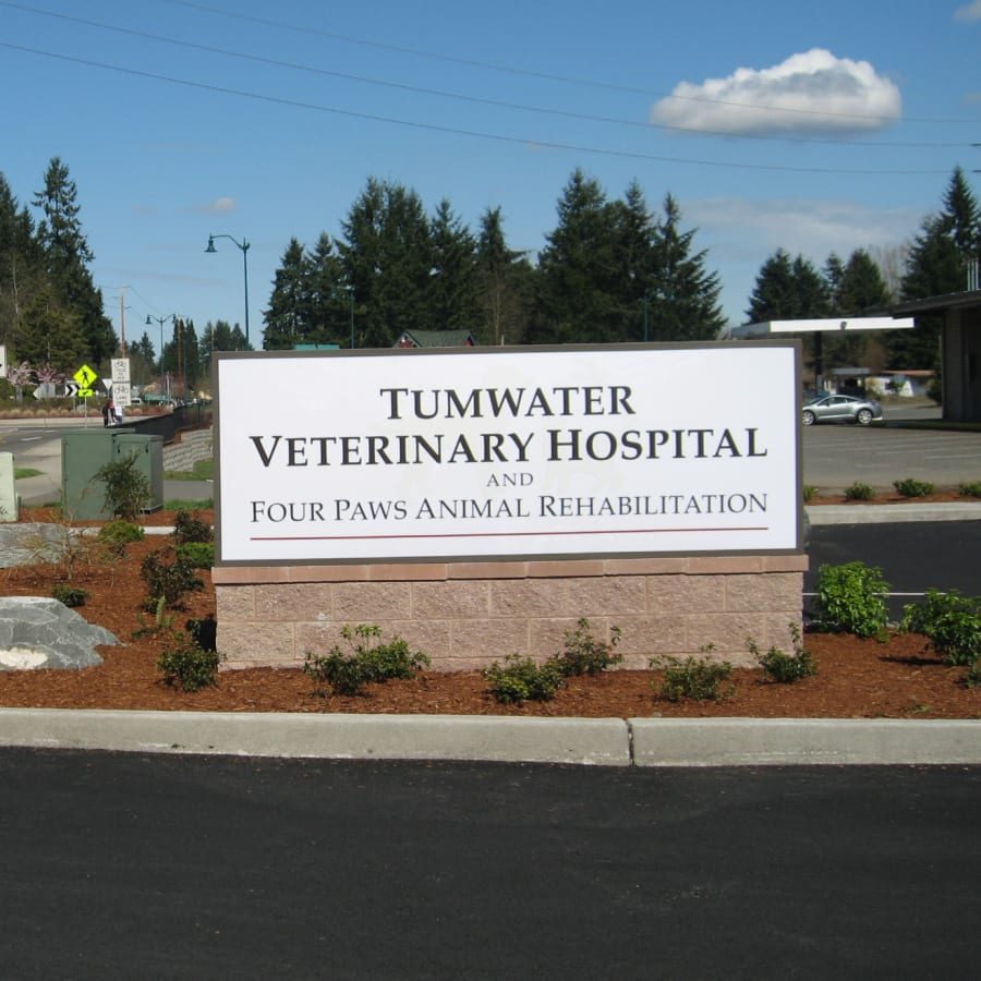 Tumwater Veterinary Hospital in Tumwater