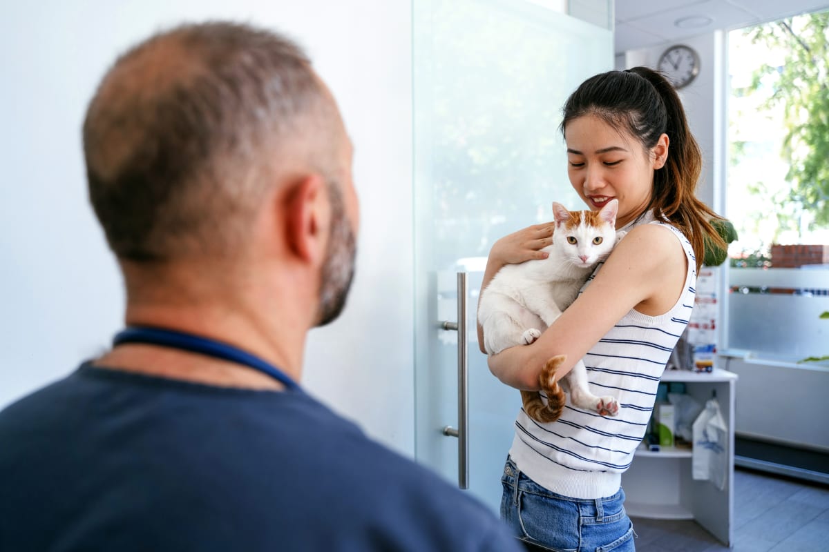 cat at clinic